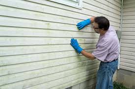 Best Custom Trim and Detailing for Siding  in Obetz, OH